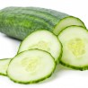 Pepino