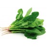 Espinacas Hoja